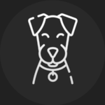 Imagen-de-Calculadora-de-Año-Perruno-a-Humano